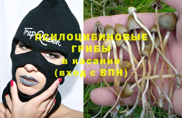 круглые Алексеевка
