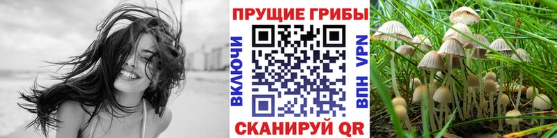 Галлюциногенные грибы Cubensis  мориарти наркотические препараты  Куйбышев 