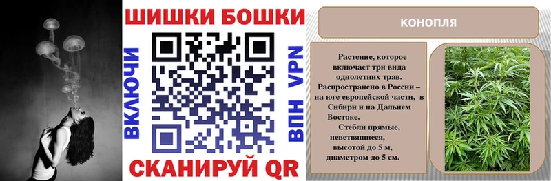 Бошки Шишки Bruce Banner  купить   Куйбышев 